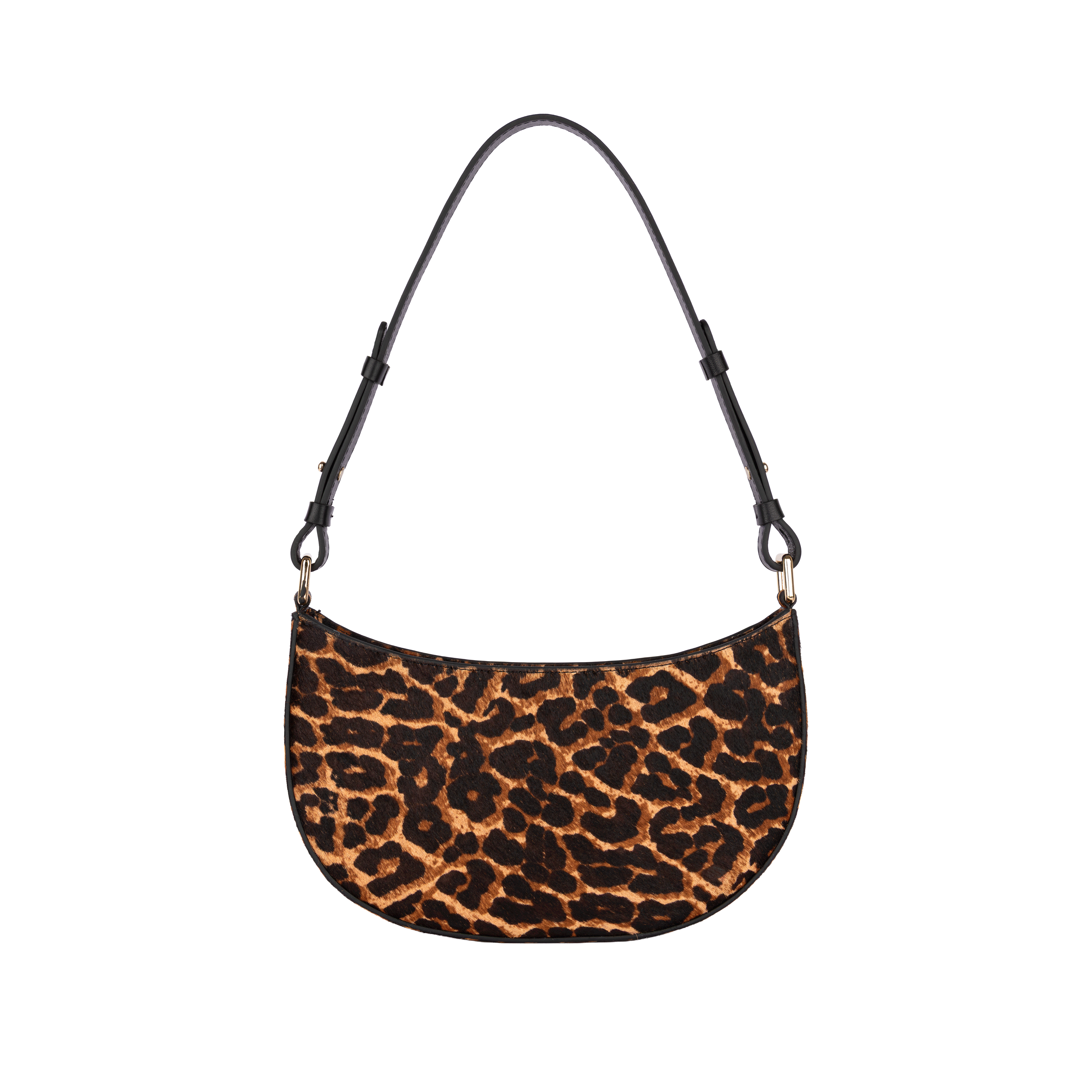 CARTERA AMI