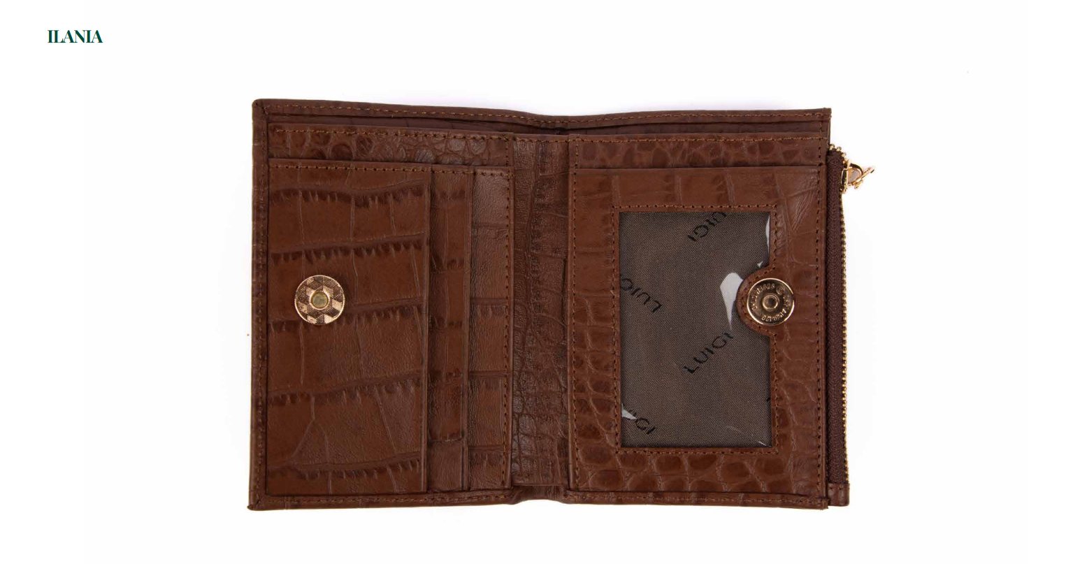 BILLETERA ILANIA