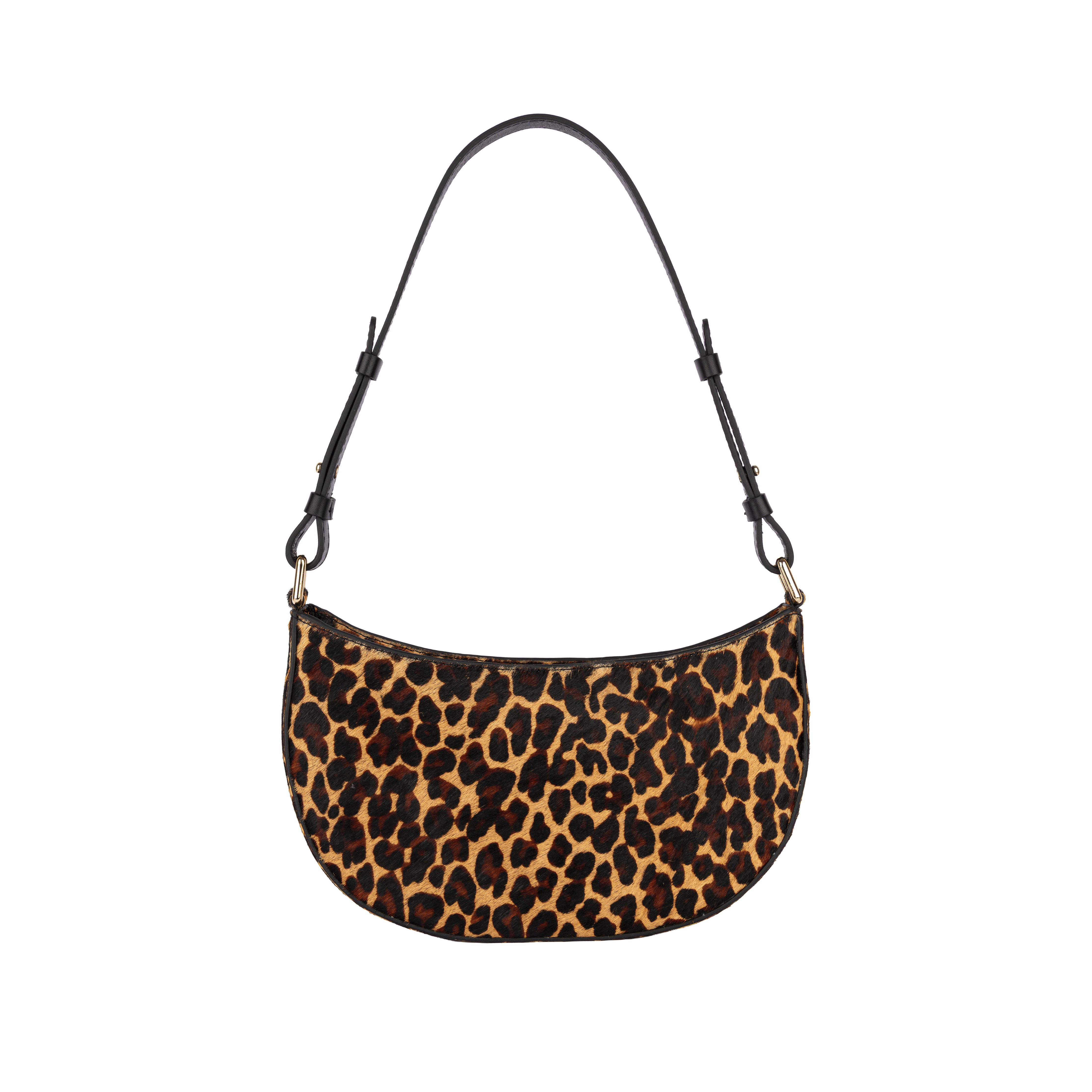 CARTERA AMI